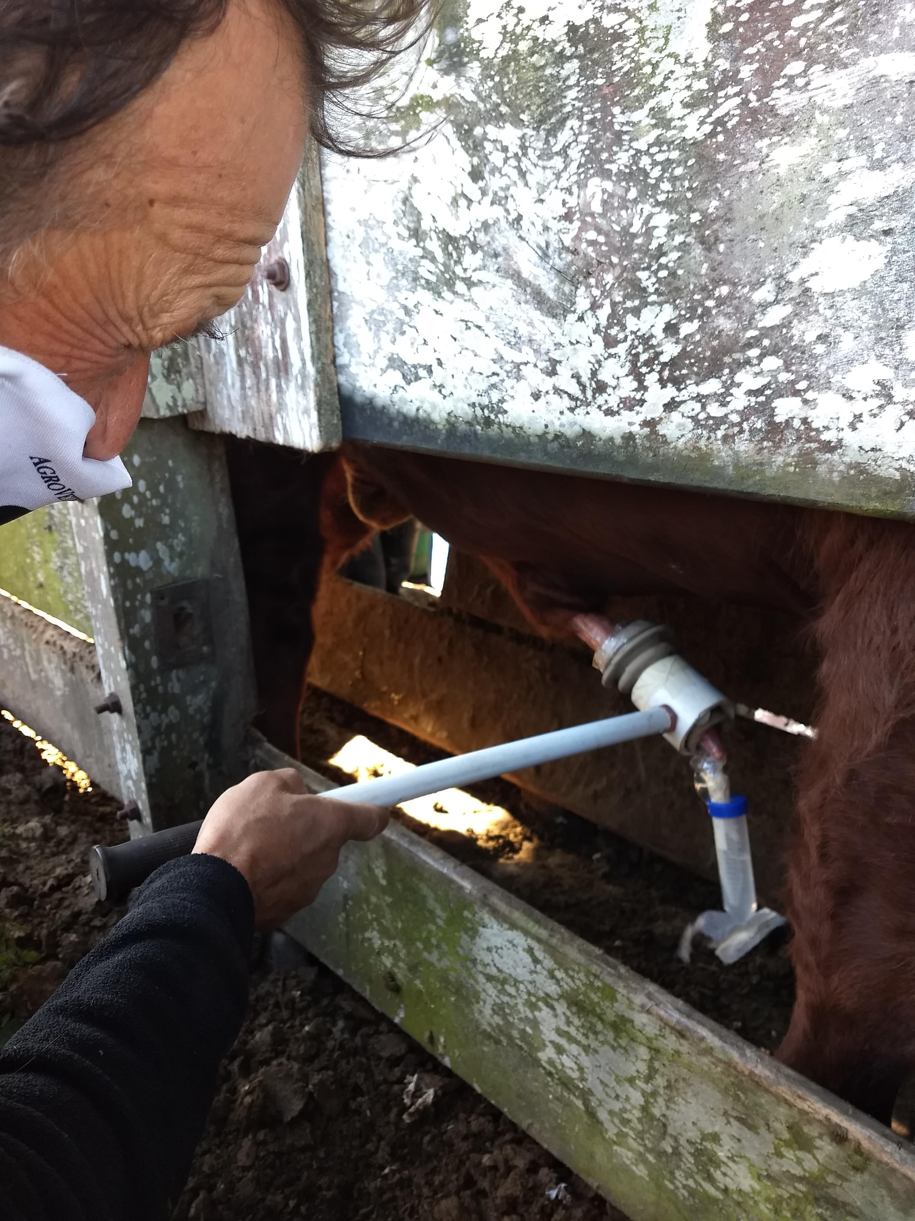 imagen de reproduccion