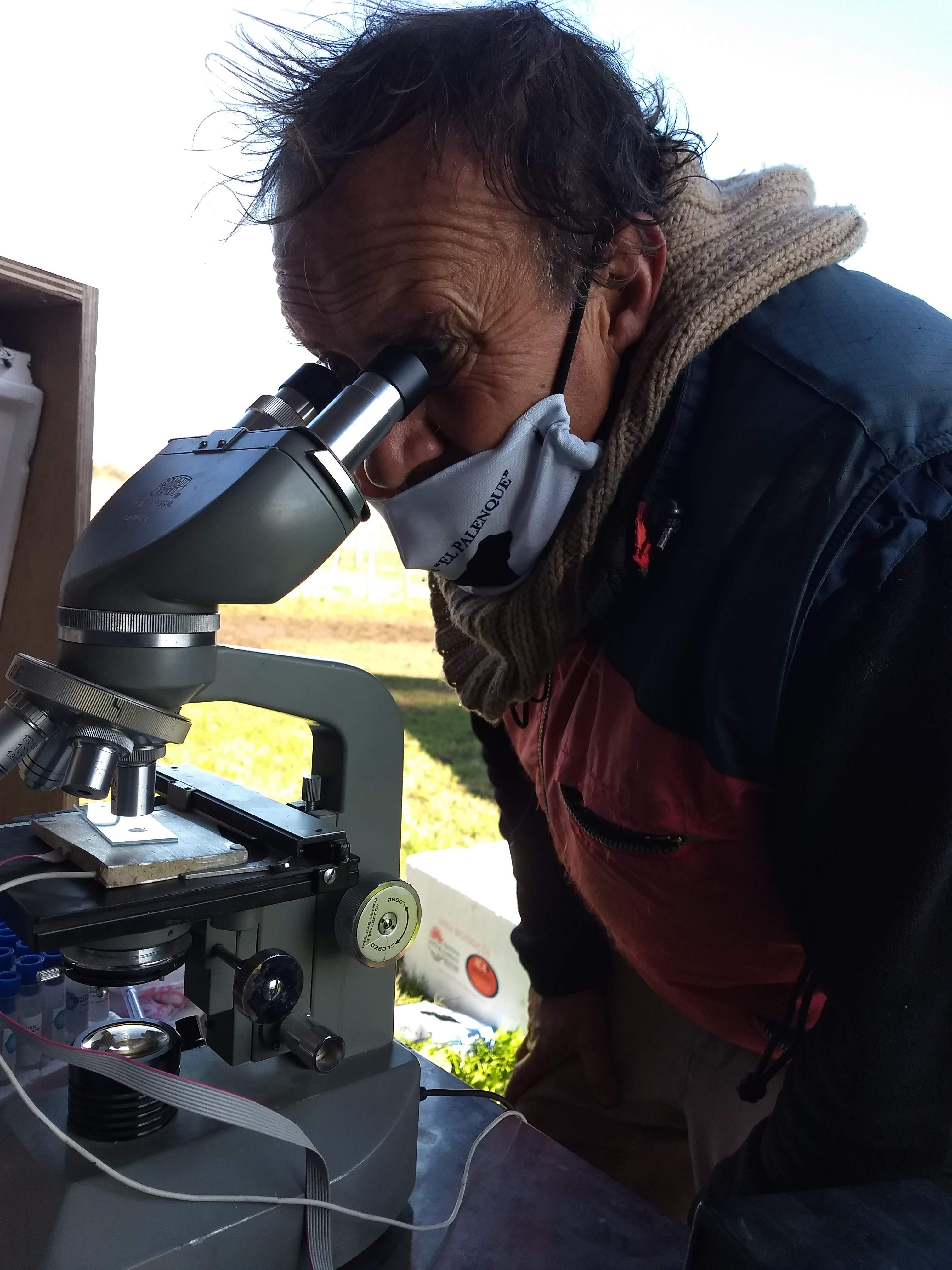 iamgen de serviocios